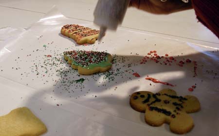 Cookies 2007 - 15